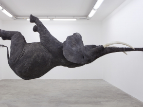 Art Contemporain © Daniel Firman, Nasutamanus Biennale Art Contemporain 2012